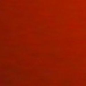 Meet your Posher, Devin